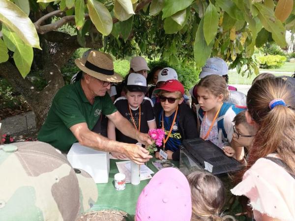 Enfants qui participent à un parcours de visite